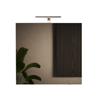 Specchiera 80 cm con Luce LED