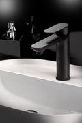 Miscelatore Lavabo Nero con Scarico Metallo e Flex Nylon Cartuccia C3 24,5 cm Cromato